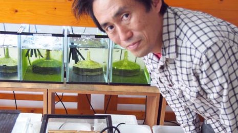 メダカで年商10億円目指す ITから業態転換した起業家の夢