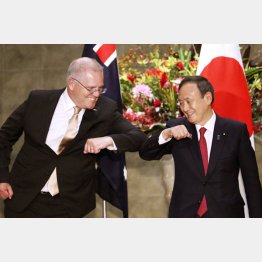 日豪首脳会談で、肘タッチをする菅首相とモリソン豪首相（Ｃ）共同通信社
