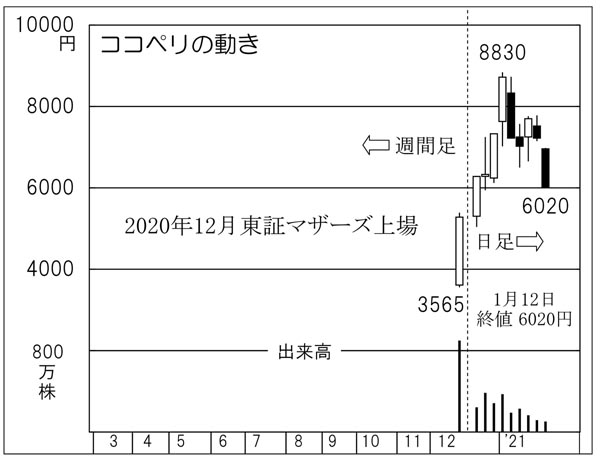 「ココペリ」の株価チャート（Ｃ）日刊ゲンダイ