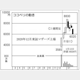「ココペリ」の株価チャート（Ｃ）日刊ゲンダイ