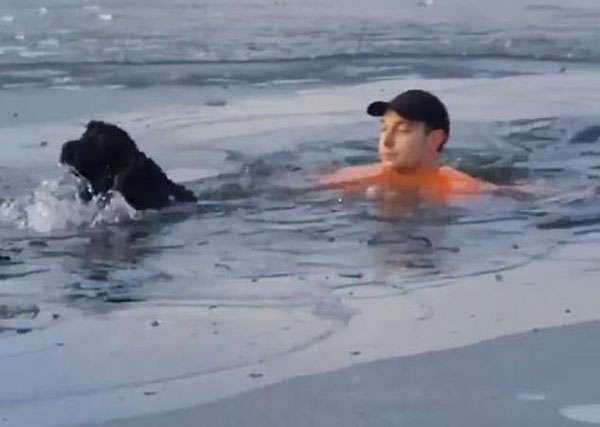 氷が張った池を犬が走り回っていたら、氷が割れて水の中に！！（ポーラ・タウンさんのフェイスブックから）