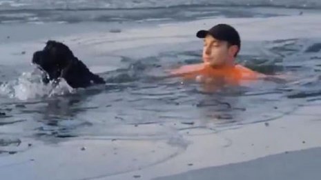 氷の池に落ちた犬を救助！「英雄だ」の称賛に男性本人は…