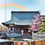 埼玉・川越の寺が同性婚に取り組んだワケ 気になる費用は