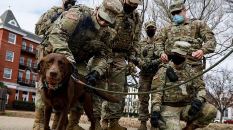 米大統領就任式へ首都厳戒 極右勢力が画策“反撃”の不気味