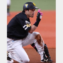 ソフトバンクの野手陣のリーダー、松田宣浩内野手（Ｃ）日刊ゲンダイ
