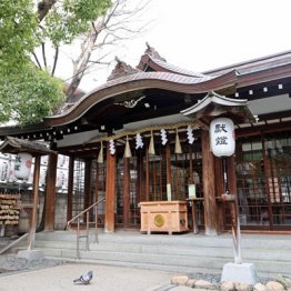 大阪70歳エロ禰宜が神具で…30代女性を“ツンツン”の手口