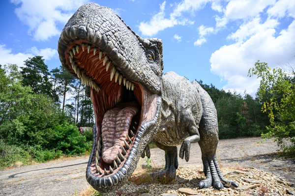 ドイツ・ミュンへハーゲンの「ディノ・パーク」にあるティラノサウルスの模型（Ｃ）DPA／共同通信イメージズ