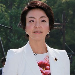 案里被告「日当90万円」のボロ儲け 参院居座り血税を浪費