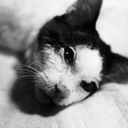 <24>死んでいなくなるとその存在は「エンドレス」になる