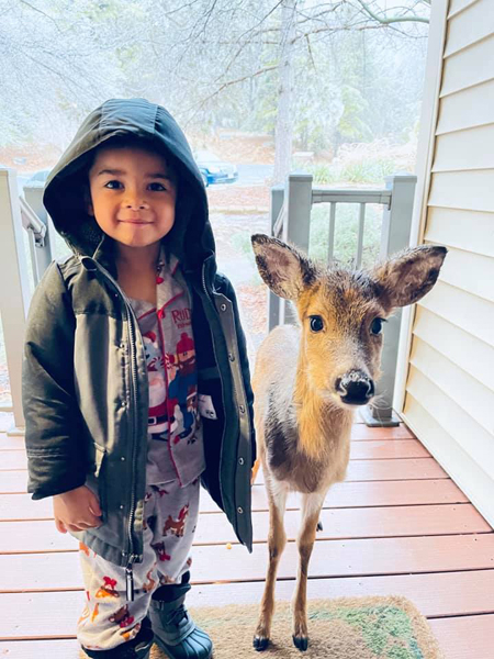 4歳の男の子が野生の子鹿と友達に 衝撃の写真が急拡散中 日刊ゲンダイdigital