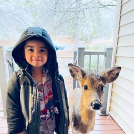 4歳の男の子が野生の子鹿と友達に！衝撃の写真が急拡散中
