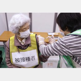 厚労省と川崎市が実施した集団接種の初訓練（Ｃ）共同通信社