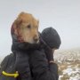 アイルランドの雪山で愛犬が迷子…諦めかけた2週間後に！