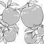 江戸時代のリンゴはかなり酸っぱかった…今はなぜ甘い？