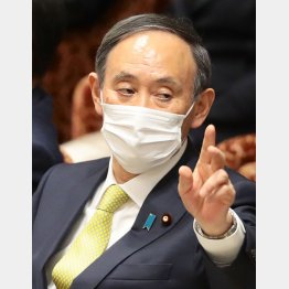 総務省を牛耳る菅首相の寵愛を一身に受け…（Ｃ）日刊ゲンダイ