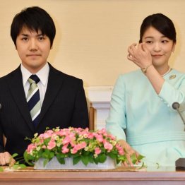 秋篠宮家の眞子さまは一時金1億5000万円では生活できない