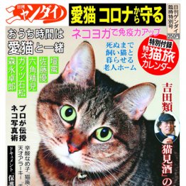 3月5日(金)臨時特別号【日刊ニャンダイ】緊急発売!