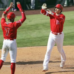 大谷翔平 大谷op1号は中堅バックスクリーン越え弾 二刀流復活は6日 野球 日刊ゲンダイdigital