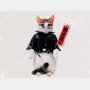 「なめ猫」仕掛け人が語る誕生秘話 80年初めに大ブーム！
