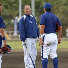 落合監督の「虫けらノック」で井端、荒木、森野は成長した