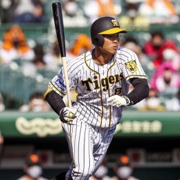 阪神・佐藤輝“逆方向弾”OP戦4号で見えてきた弱点と攻略法