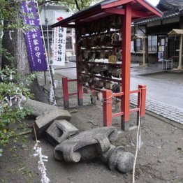 和歌山で地震が頻発…本当に南海トラフと無関係なのか？