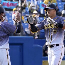 虎佐藤輝がOP戦5号 ミスター級のバカ当たりで気になる反動