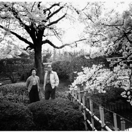 <30>桑原甲子雄さんの写真集はオレがプリントしたんだよ