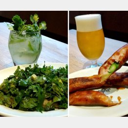 ベーコンと香味野菜のサラダ（左）とゴルゴンゾーラチーズが入った春巻き（Ｃ）日刊ゲンダイ