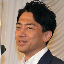 進次郎は何者？我が物顔で「プラの原料って石油」から分析