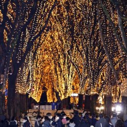 宮城感染者急増の一因か 歓楽街の人出増と“風活”の関連性