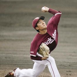 【新人王候補の素顔】楽天早川は1週間スケジュールの猛者