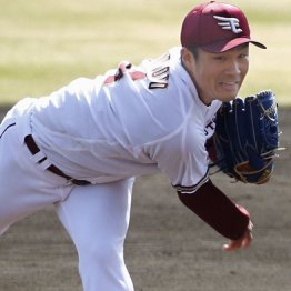 楽天則本に不倫離婚報道で…「夢より安定」選んだ真相判明