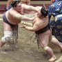照ノ富士3度目V 日本人がかなわないモンゴル力士の“粘り腰”