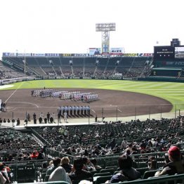 大阪の感染者激増はセンバツが原因？西宮市の保健所を直撃