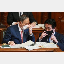 首相側近副長官は非常識（菅首相と坂井学官房副長官＝右）／（Ｃ）日刊ゲンダイ