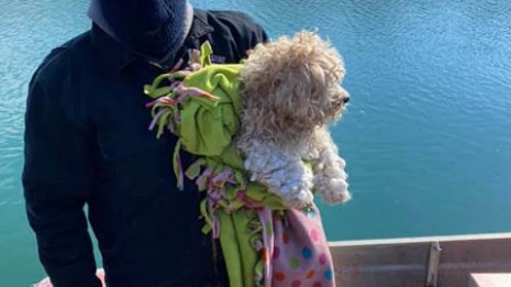 氷上で孤立した犬を救って里親に…カナダ男性に祝福の声!