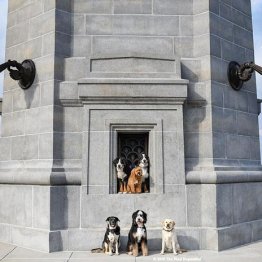 「“男性が愛犬を撮る”様子を撮った男性」を撮った米国女性