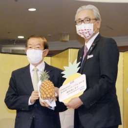 台湾産輸入パイナップルに不良品が…日本の支援に冷や水？