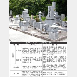 墓のシステムと価格一覧（写真はイメージ）／（Ｃ）日刊ゲンダイ