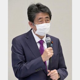 根深い身内びいき、安倍政権のネポティズム(縁故主義)/(C)日刊ゲンダイ