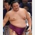 朝乃山は出場停止で済めばいいが…（Ｃ）日刊ゲンダイ