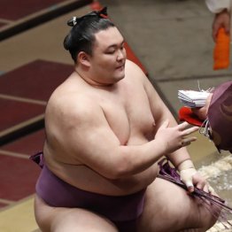 朝乃山と共にキャバ 相撲記者は力士顔負けごっつあん気質