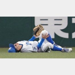 3回、阪神・マルテの打球処理の際に体勢を崩し、左膝を押さえて倒れ込む若林（Ｃ）共同通信社