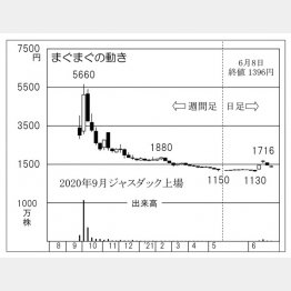 「まぐまぐ」の株価チャート（Ｃ）日刊ゲンダイ
