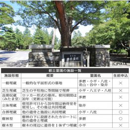 都立霊園の施設一覧（Ｃ）日刊ゲンダイ