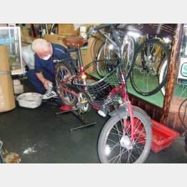 自転車を修理する店主の竹内さん（Ｃ）日刊ゲンダイ