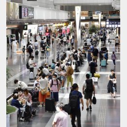 夏休みの本格的な帰省シーズンを迎えた羽田空港の出発ロビー（Ｃ）共同通信社