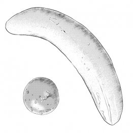 夏は行水が多かった江戸時代 女性の生活は「のぞき」との戦いだった