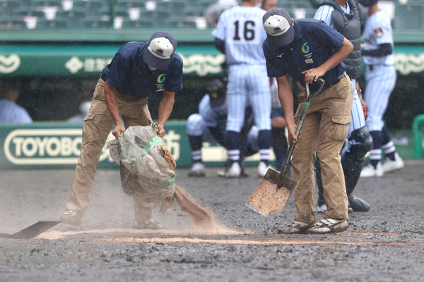 試合の合間に、水が浮き始めたグラウンドのホームベース付近に砂を入れる阪神園芸のスタッフ（Ｃ）日刊ゲンダイ